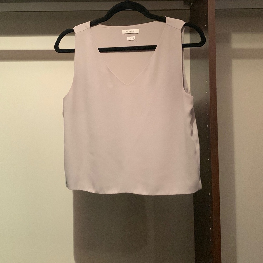Babaton (Aritizia) Murphy Blouse